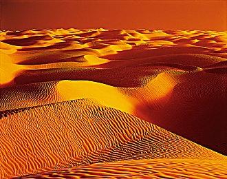 《层层恐惧》新作《Layers of Fears》现已上架Steam